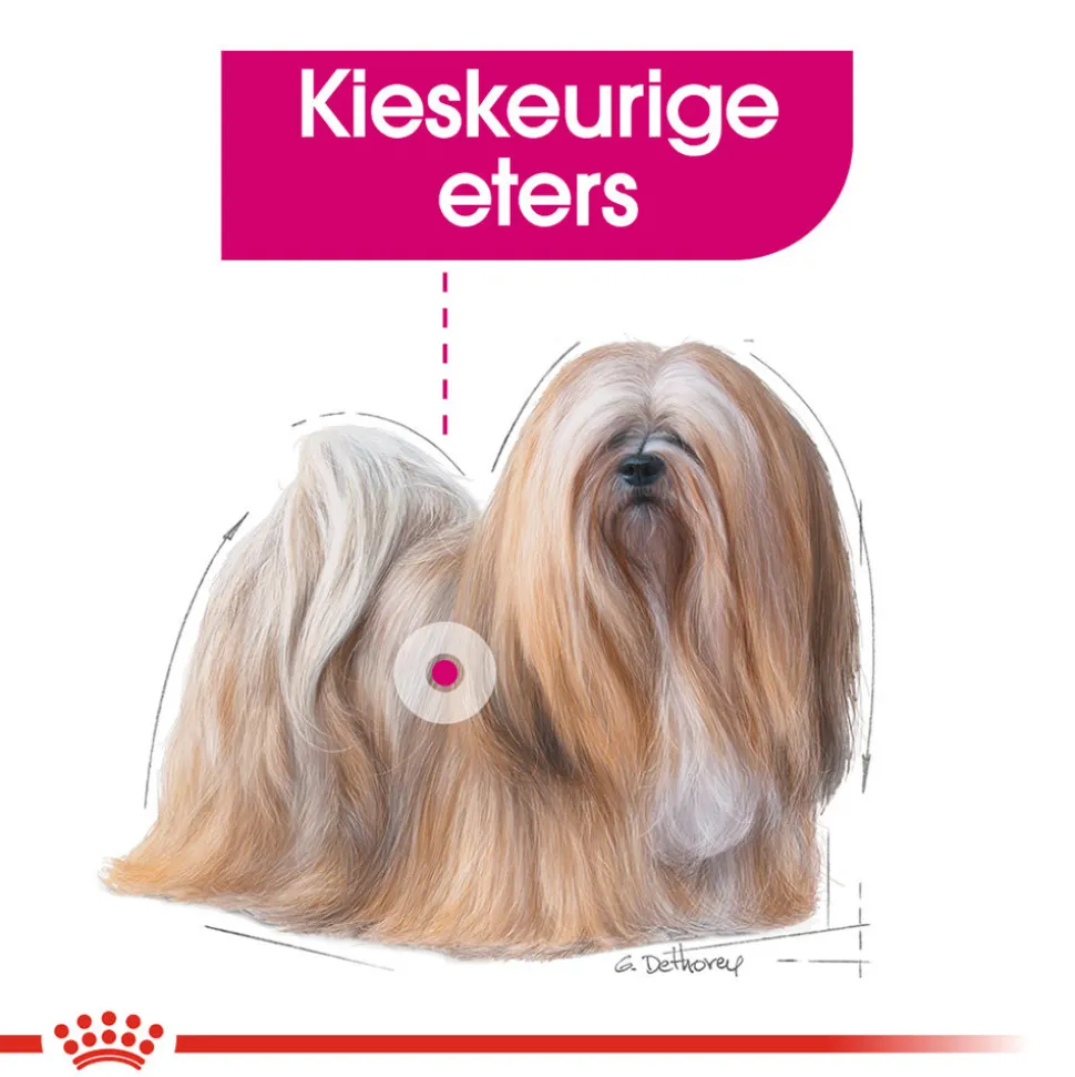 Royal Canin Exigent Wet - Hondenvoer