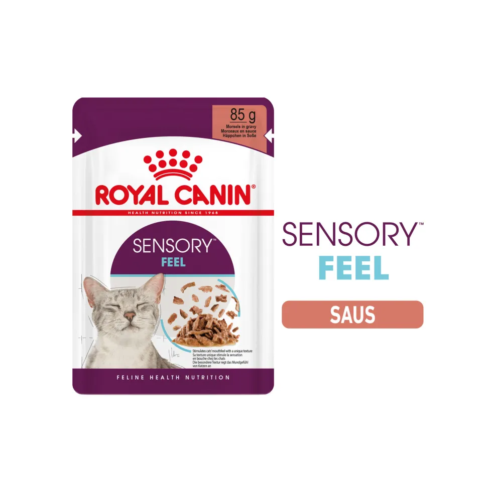 Royal Canin FHN Sensory Feel In Gravy