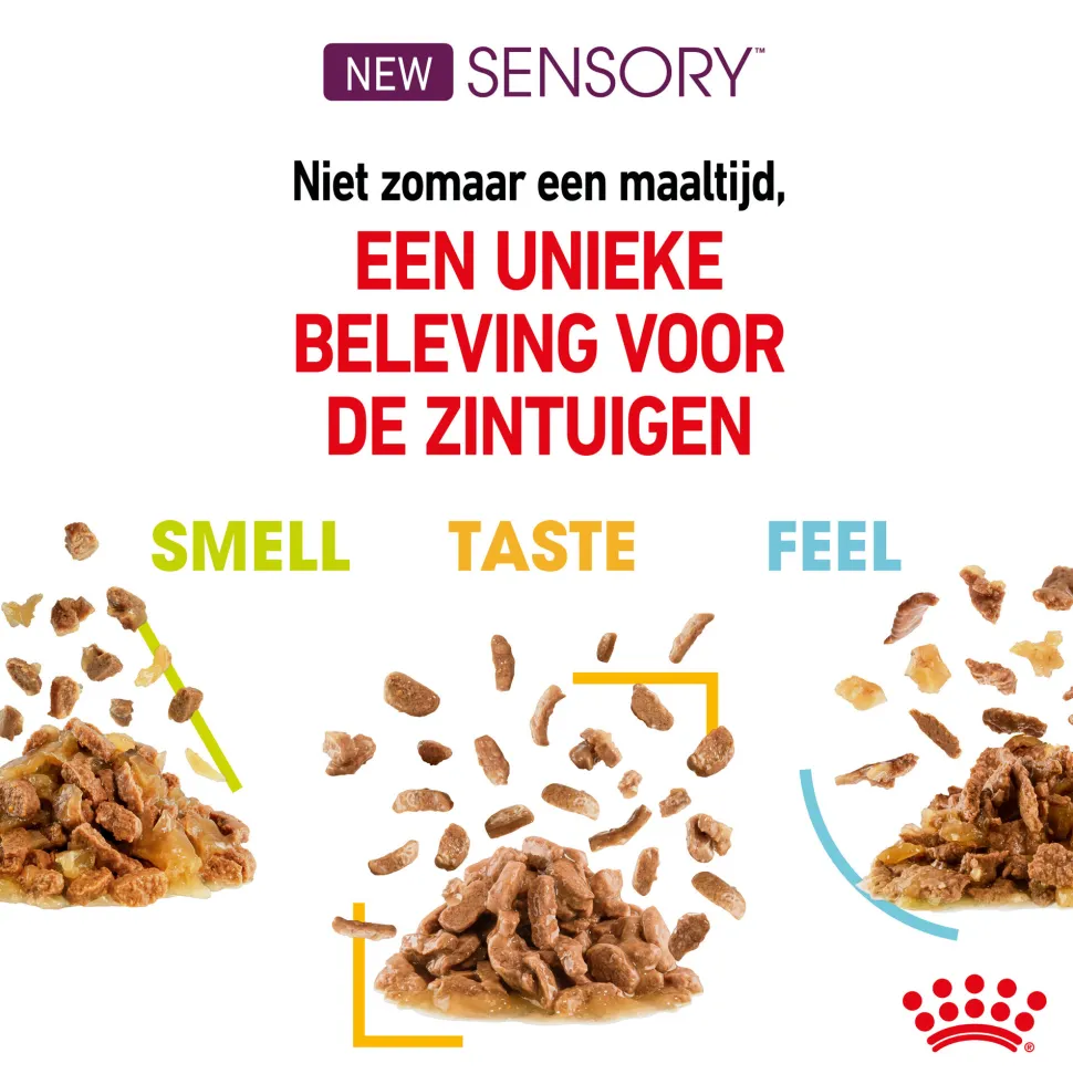 Royal Canin FHN Sensory Feel In Gravy