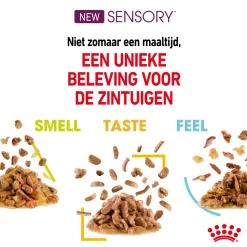 Royal Canin FHN Sensory Multipack in Gravy