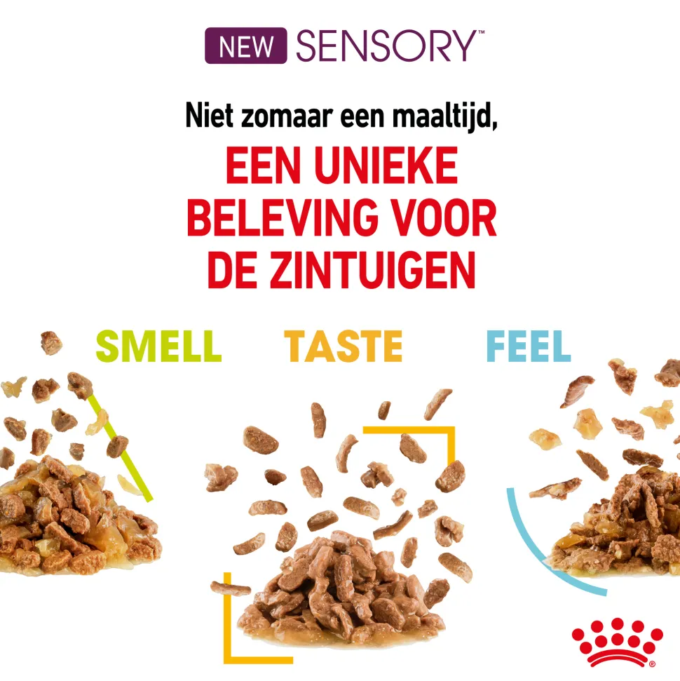 Royal Canin FHN Sensory Multipack in Gravy
