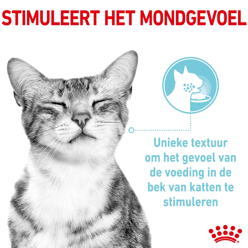 Royal Canin FHN Sensory Multipack in Gravy