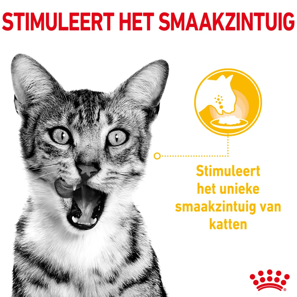 Royal Canin FHN Sensory Multipack in Gravy