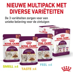 Royal Canin FHN Sensory Smell In Gravy