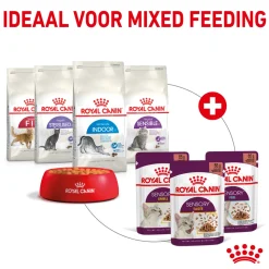 Royal Canin FHN Sensory Smell In Gravy