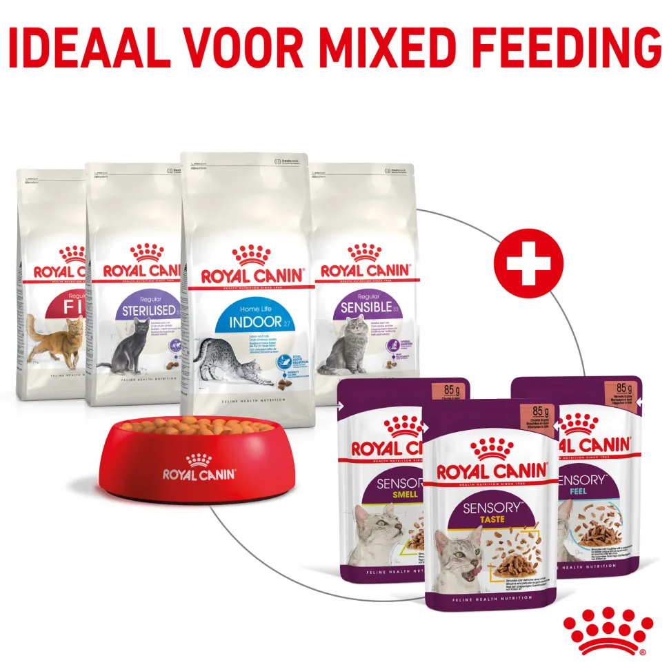Royal Canin FHN Sensory Taste in Sauce