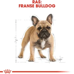 Royal Canin French Bulldog Adult - Hondenvoer