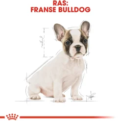 Royal Canin French Bulldog Puppy - Hondenvoer