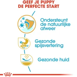 Royal Canin French Bulldog Puppy - Hondenvoer