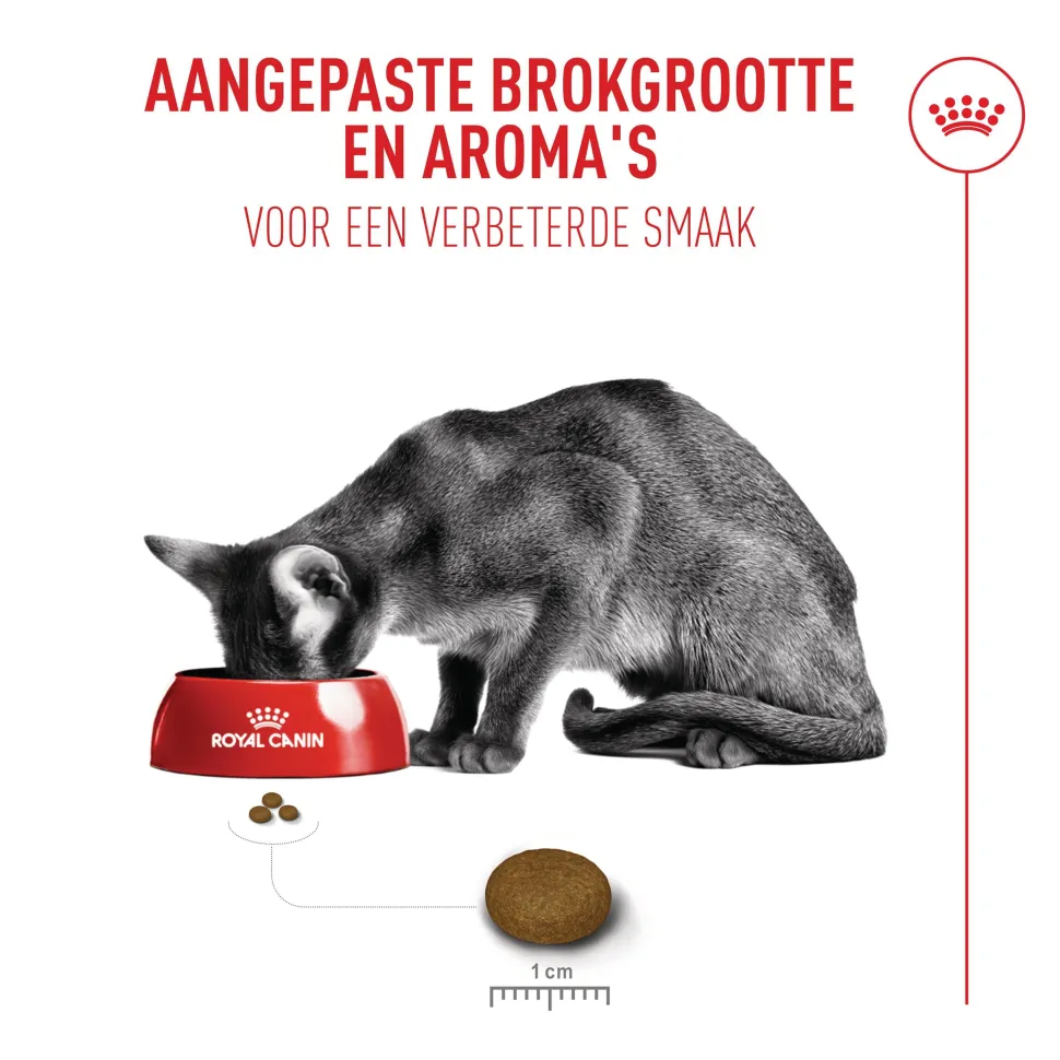 Royal Canin Fussy Exigent - Kattenvoer