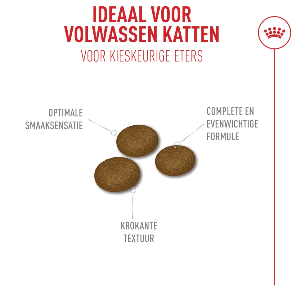 Royal Canin Fussy Exigent - Kattenvoer