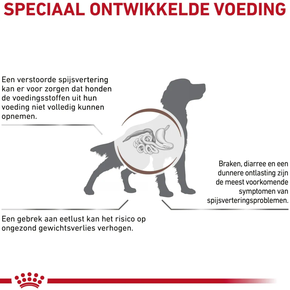 Royal Canin Gastrointestinal Hond