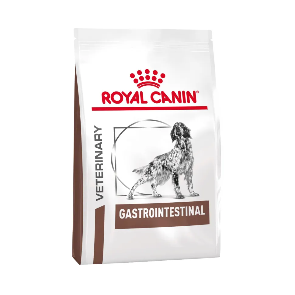 Royal Canin Gastrointestinal Hond