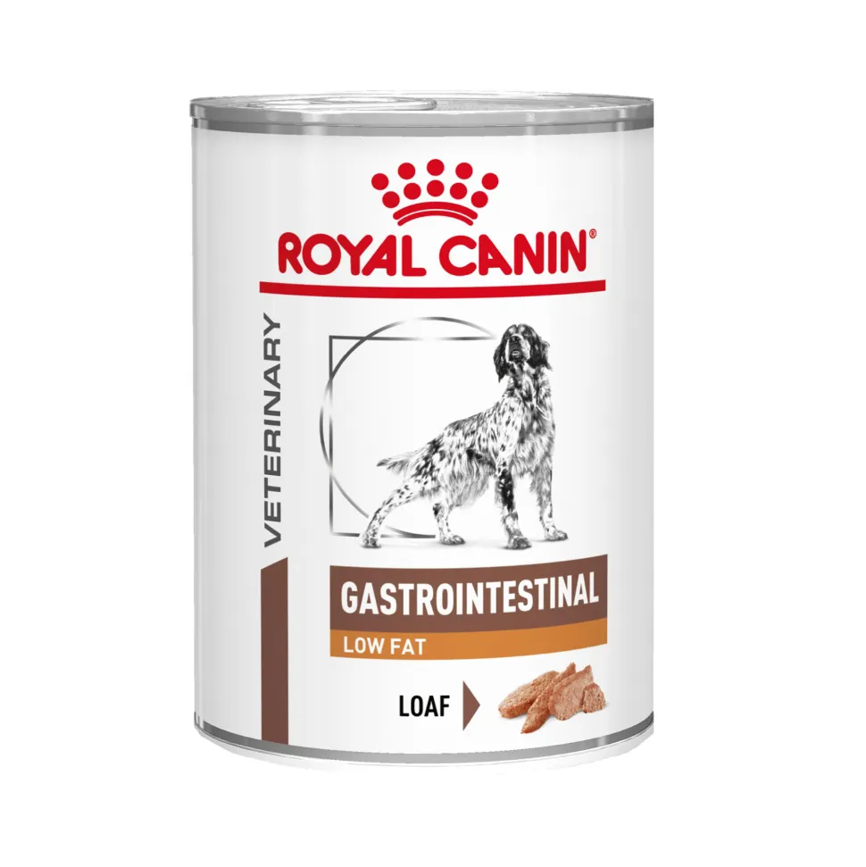 Royal Canin Gastrointestinal Low Fat Hond - Blik