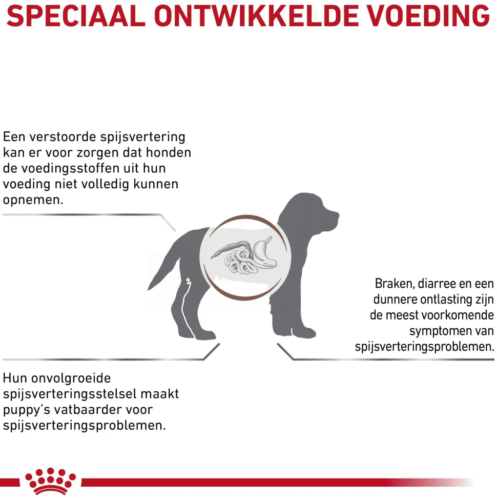 Royal Canin Gastrointestinal Puppy Hond