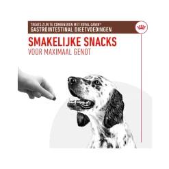 Royal Canin Gastrointestinal Treats