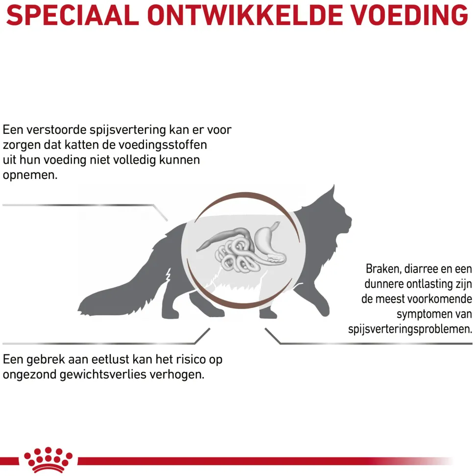 Royal Canin Gastrointestinal Kat