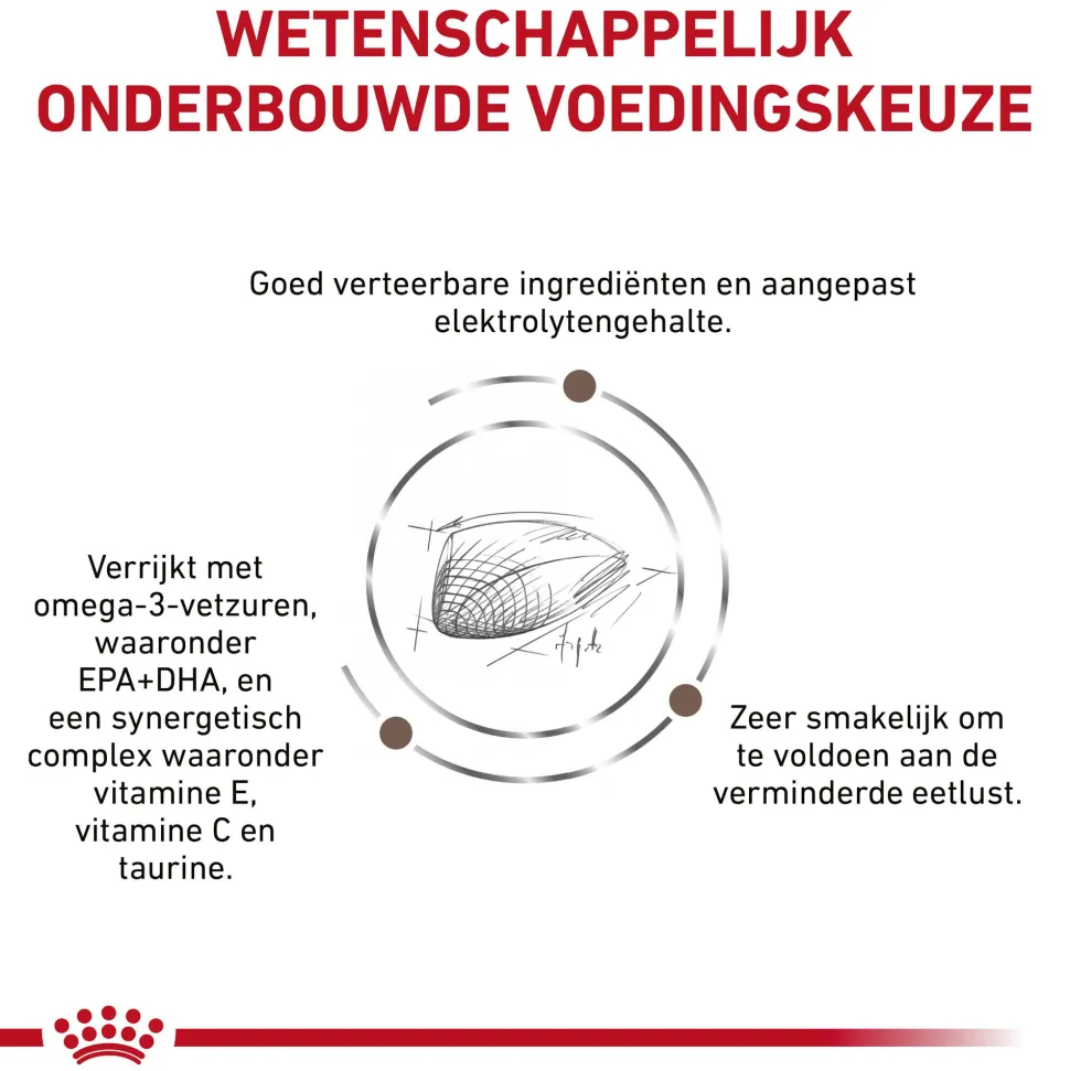 Royal Canin Gastrointestinal Kat