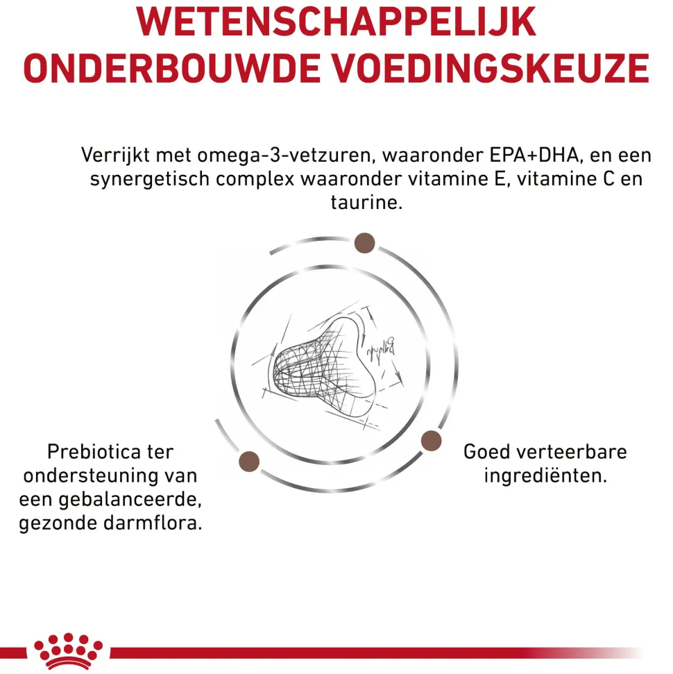 Royal Canin Gastrointestinal Fibre Response Kat