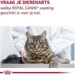 Royal Canin Gastrointestinal Fibre Response Kat