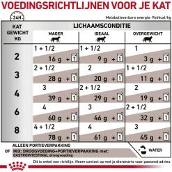 Royal Canin Gastrointestinal Kat - Maaltijdzakje