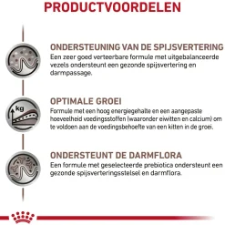 Royal Canin Gastrointestinal Kitten Wet