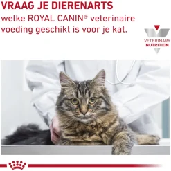 Royal Canin Gastrointestinal Moderate Calorie Kat - Maaltijdzakje