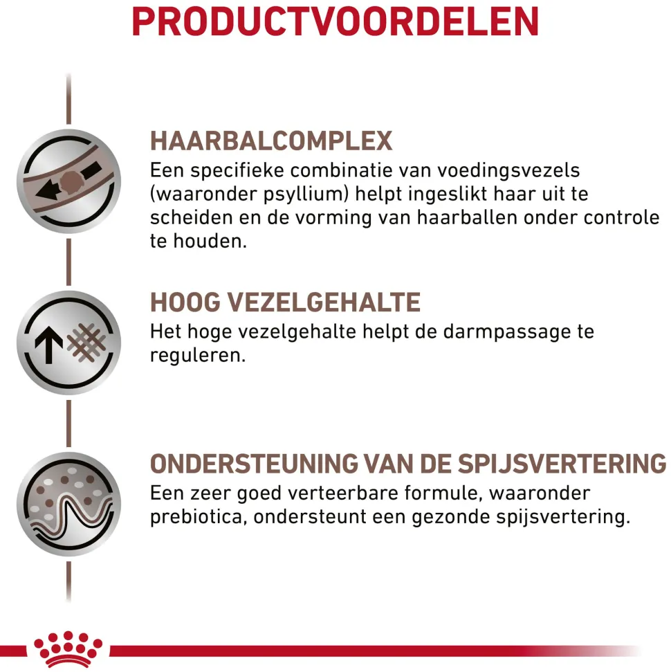 Royal Canin Gastrointestinal Hairball Kat