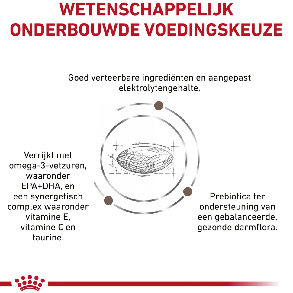 Royal Canin Gastrointestinal Hairball Kat