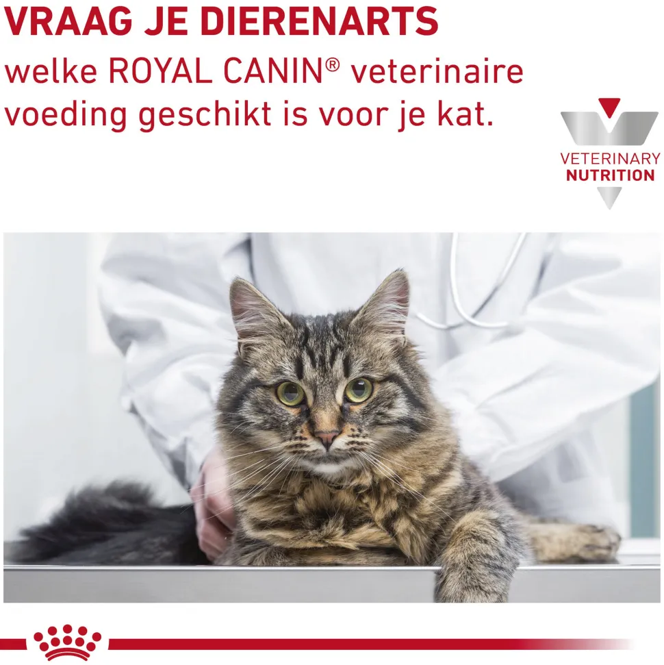 Royal Canin Gastrointestinal Hairball Kat