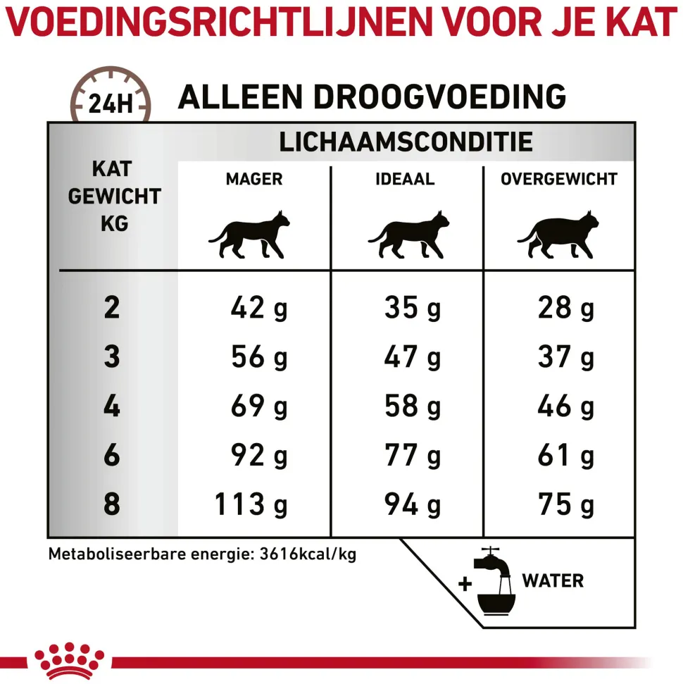 Royal Canin Gastrointestinal Hairball Kat