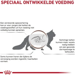Royal Canin Gastrointestinal Hairball Kat