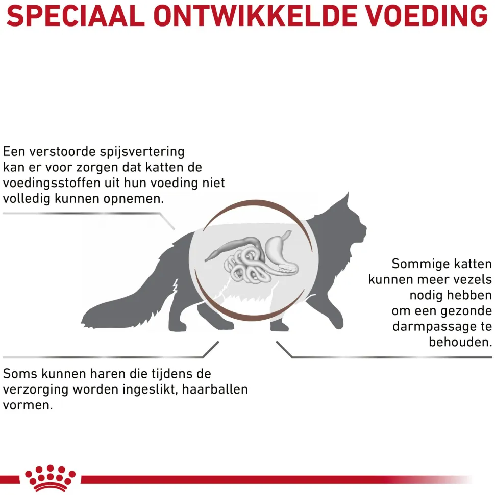 Royal Canin Gastrointestinal Hairball Kat