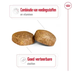 Royal Canin Giant Adult - Hondenvoer