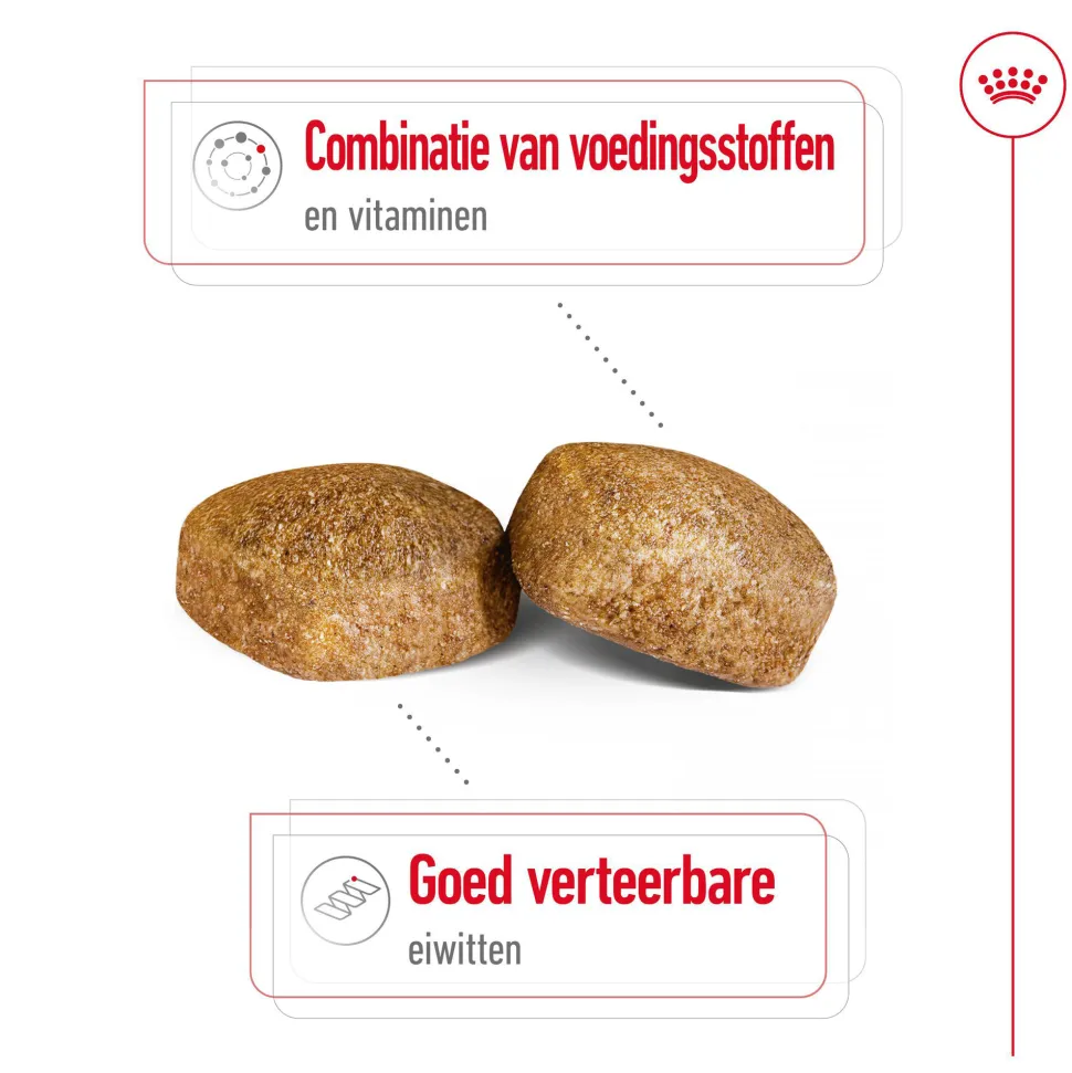 Royal Canin Giant Adult - Hondenvoer