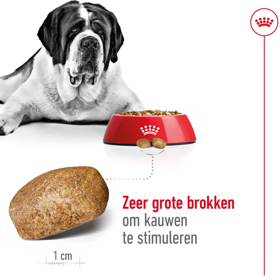 Royal Canin Giant Adult - Hondenvoer