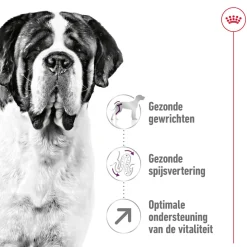 Royal Canin Giant Adult - Hondenvoer