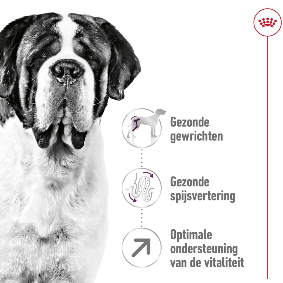 Royal Canin Giant Adult - Hondenvoer