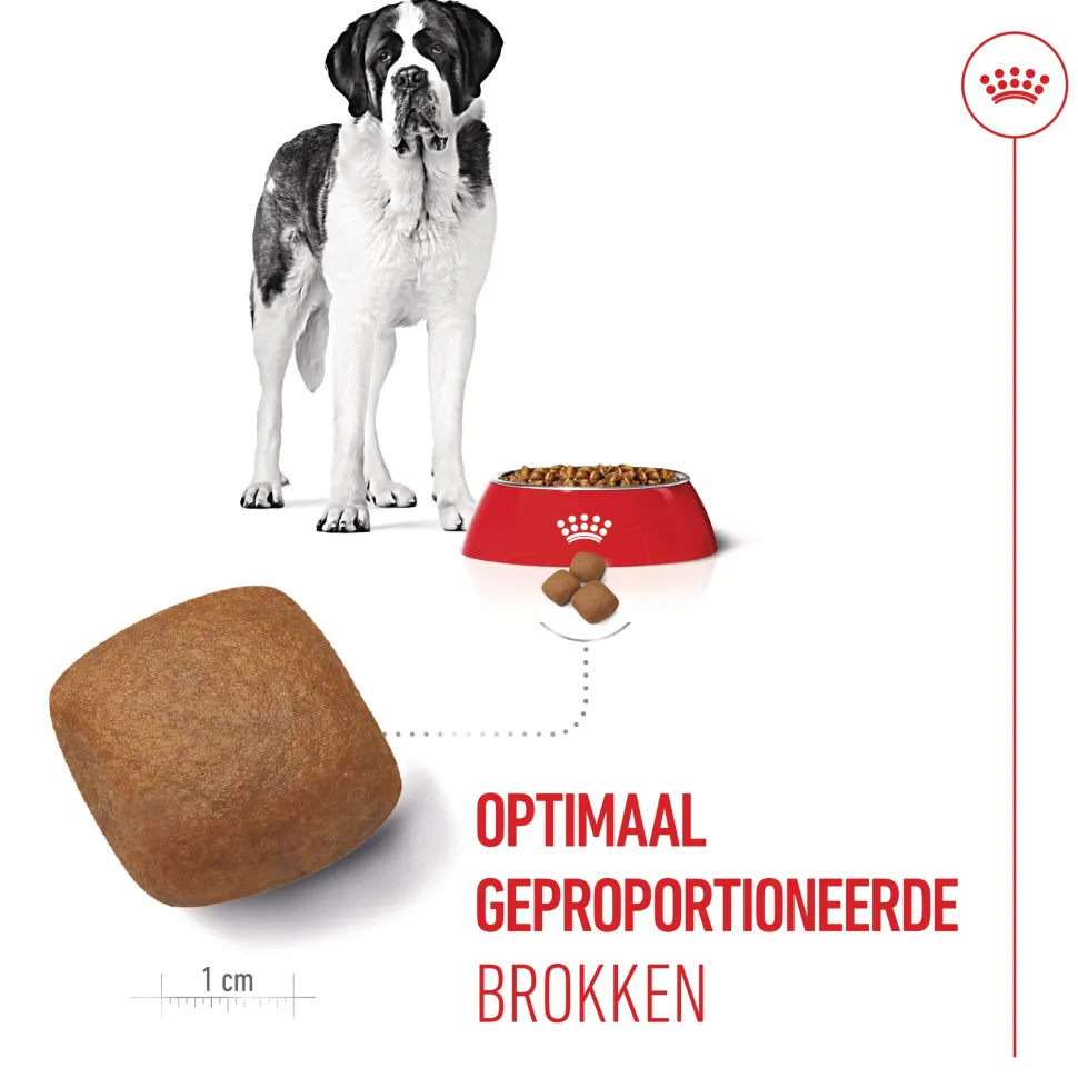 Royal Canin Giant Junior - Hondenvoer