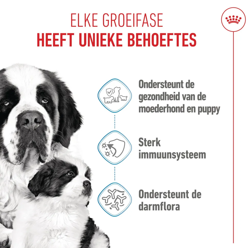 Royal Canin Giant Starter Mother & Babydog - Hondenvoer