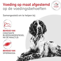 Royal Canin Glycobalance Hond