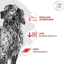 Royal Canin Glycobalance Hond