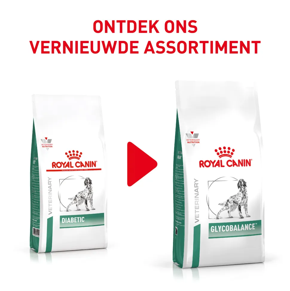 Royal Canin Glycobalance Hond