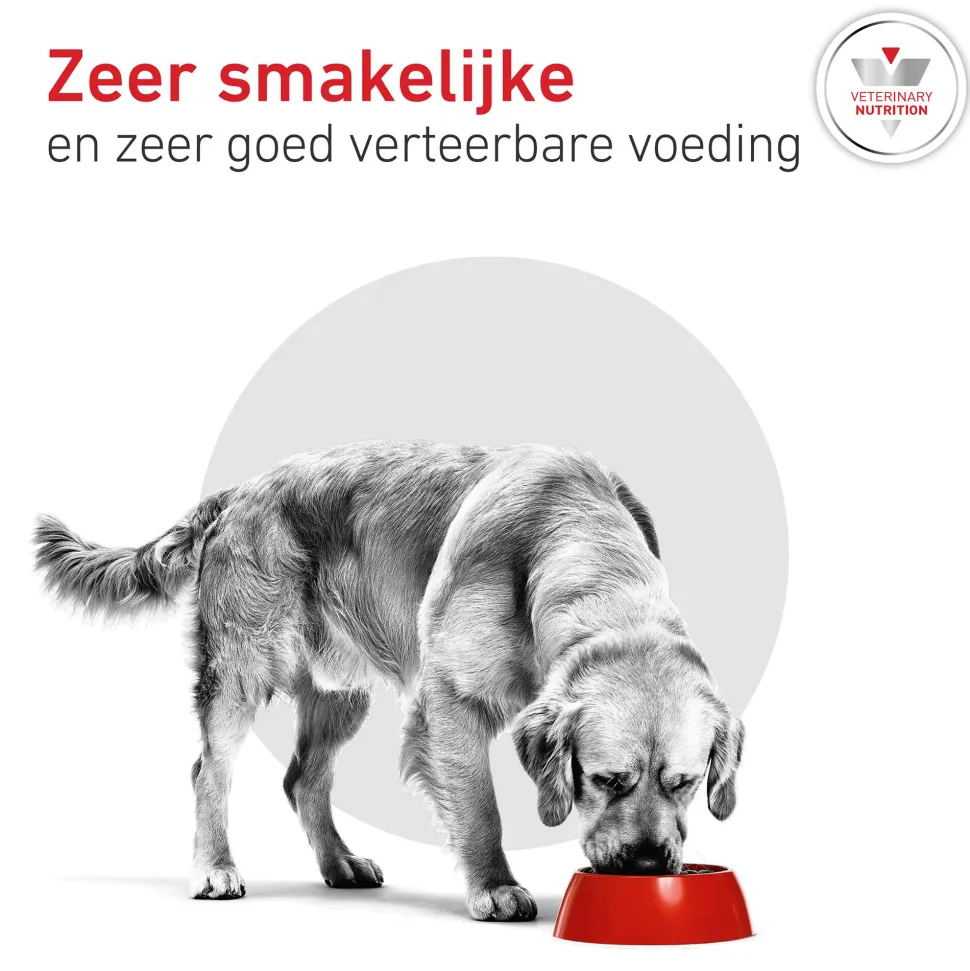 Royal Canin Glycobalance Hond