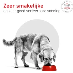 Royal Canin Glycobalance Hond - Blik