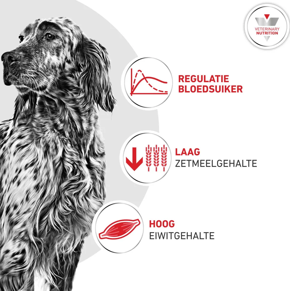 Royal Canin Glycobalance Hond - Blik