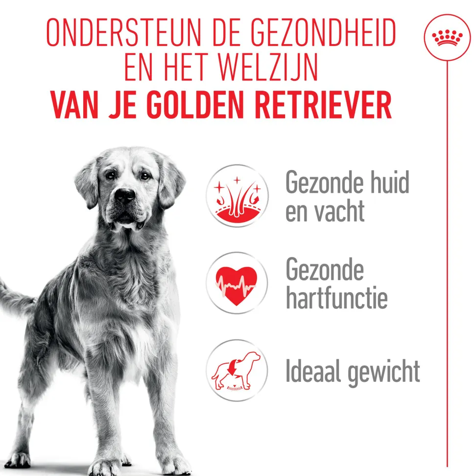 Royal Canin Golden Retriever Adult - Hondenvoer
