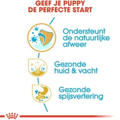 Royal Canin Golden Retriever Puppy - Hondenvoer