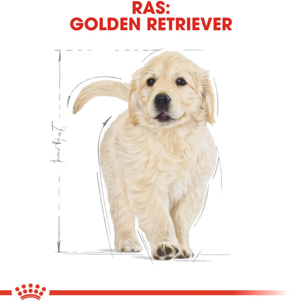 Royal Canin Golden Retriever Puppy - Hondenvoer