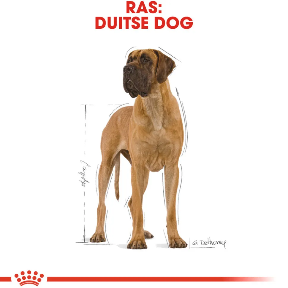 Royal Canin Great Dane Adult - Hondenvoer